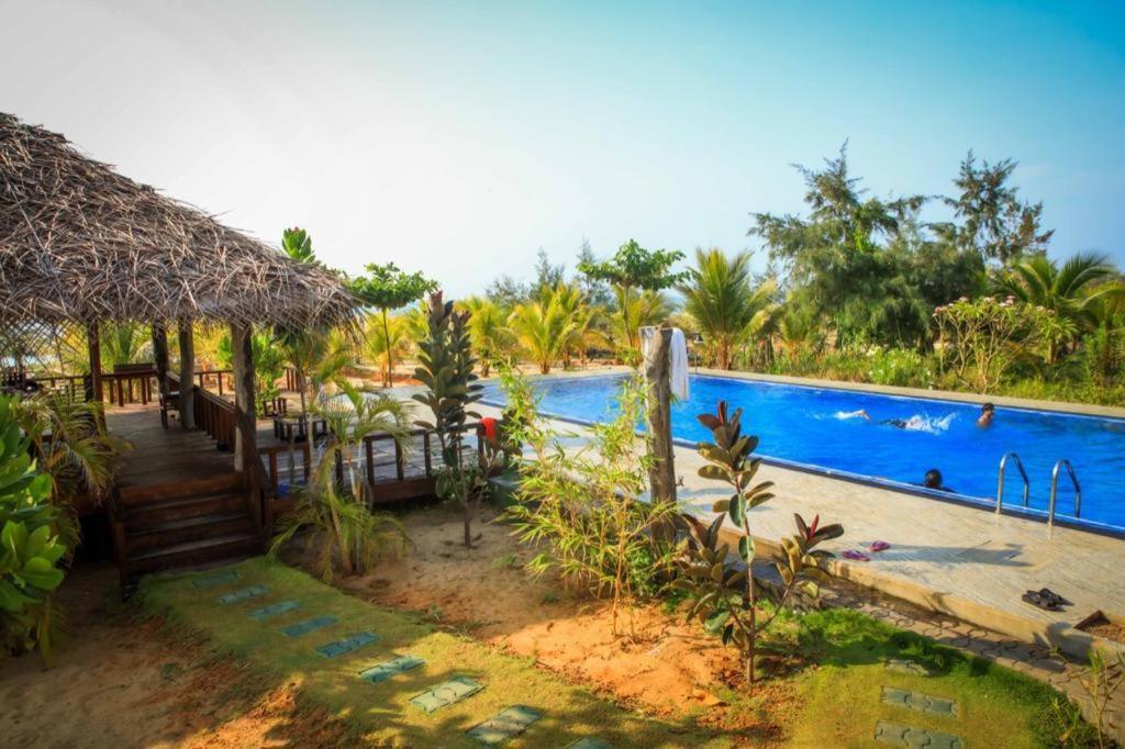 Whisky Point Surf Cabana آروغام المظهر الخارجي الصورة