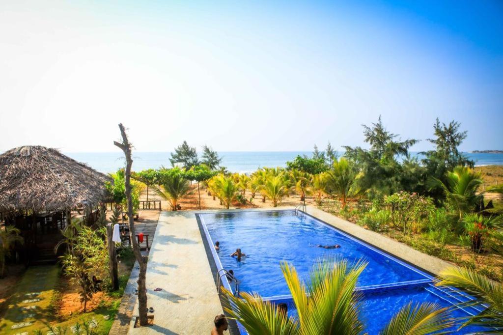 Whisky Point Surf Cabana آروغام المظهر الخارجي الصورة