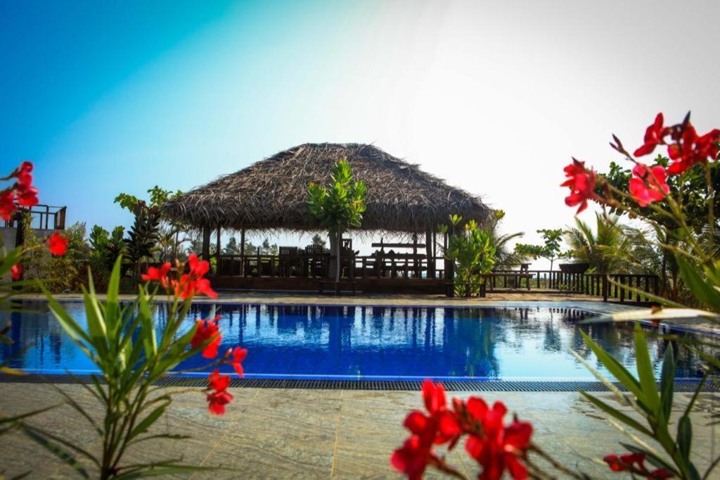 Whisky Point Surf Cabana آروغام المظهر الخارجي الصورة
